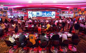 Tampilan meja No Commission Baccarat jeruk33 dengan dealer hidup dan statistik kartu